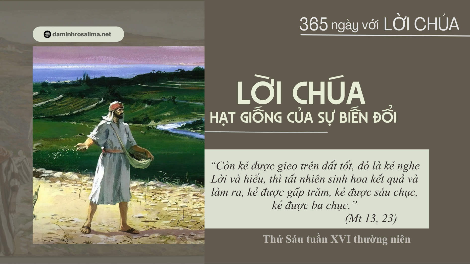 Thứ Sáu tuần XVI thường niên